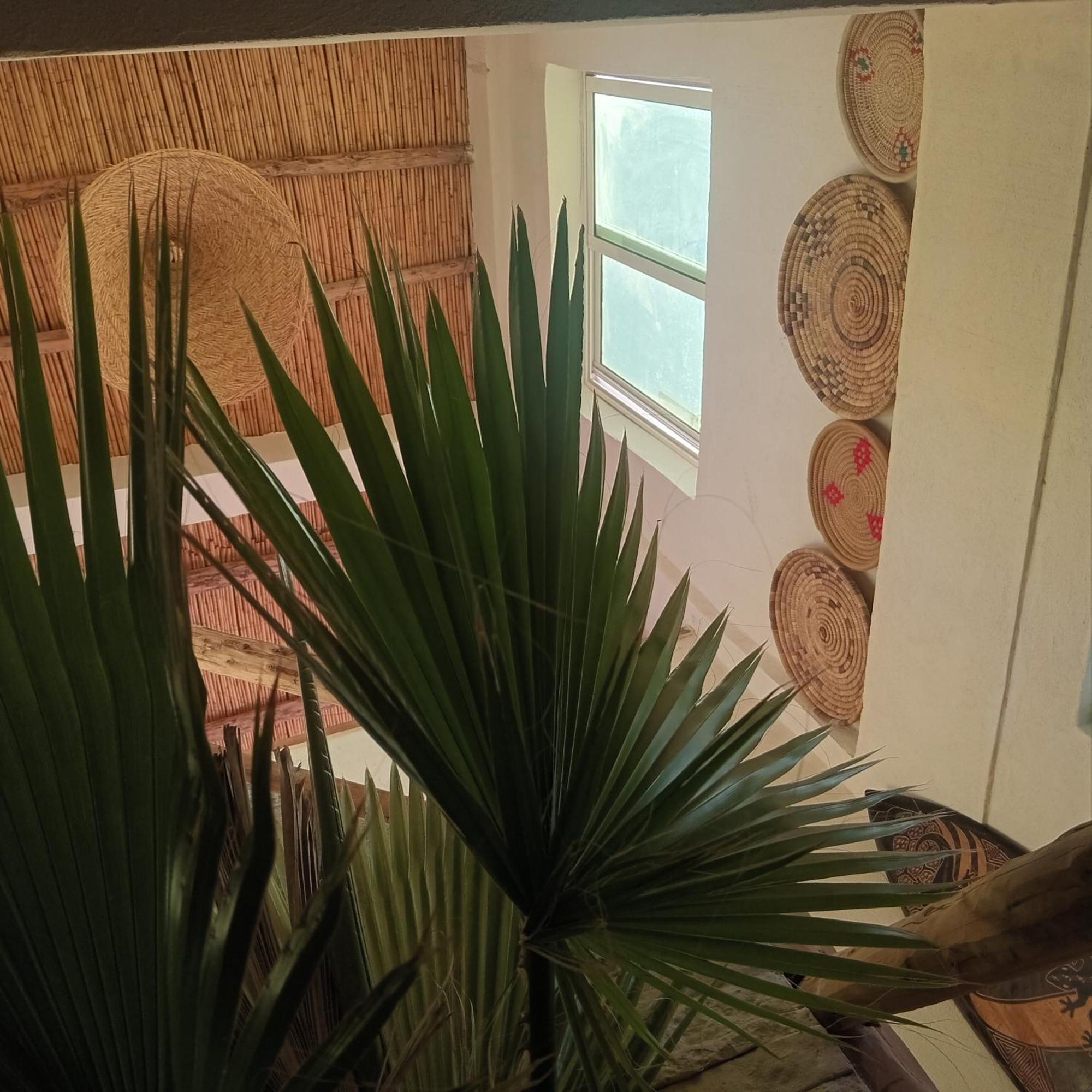 Moroccan Boho Surf House Αγκαντίρ Εξωτερικό φωτογραφία